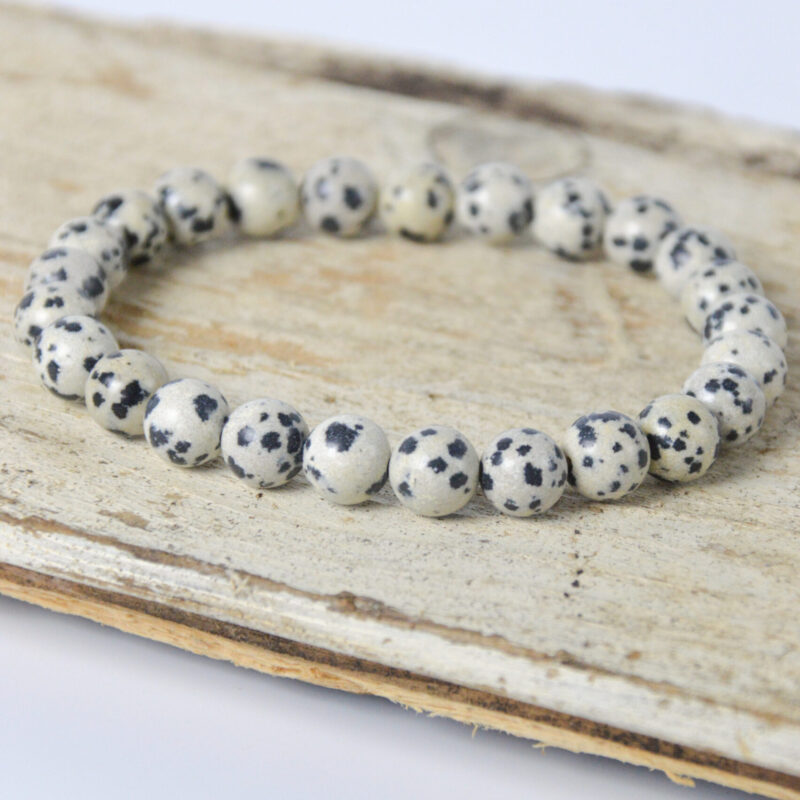 Dalmatiër Jaspis heren