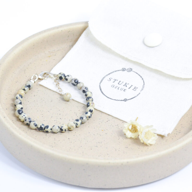 Dalmatiër Jaspis jongen